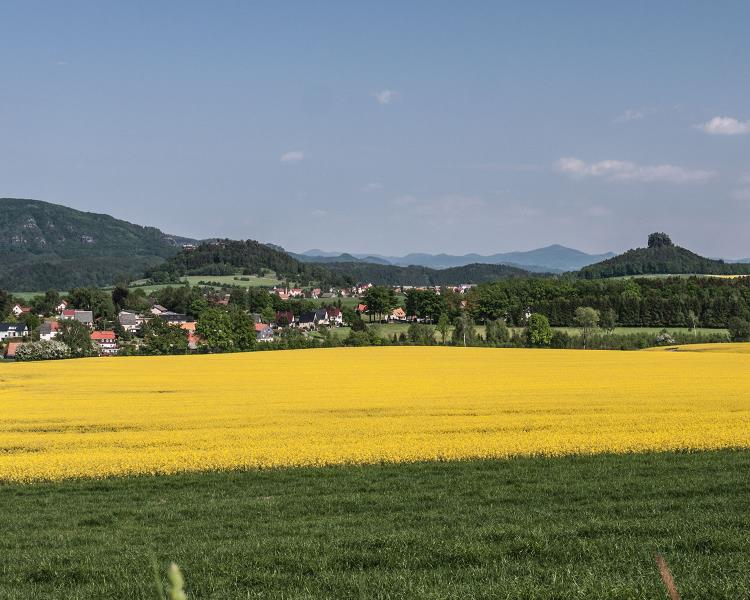 Panoramablick in Reinhardtsdorf-Schöna