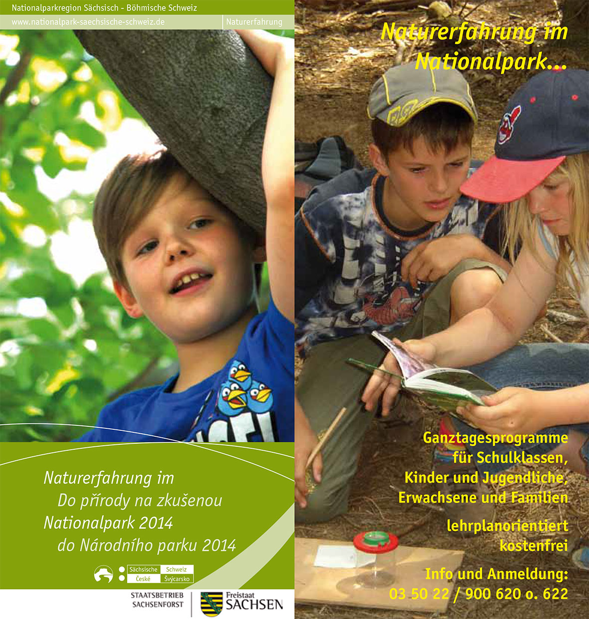 Bildungsprogramme im Nationalpark Sächsische Schweiz
